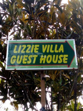 Гостиница Lizzie Villa Guest House  Элла